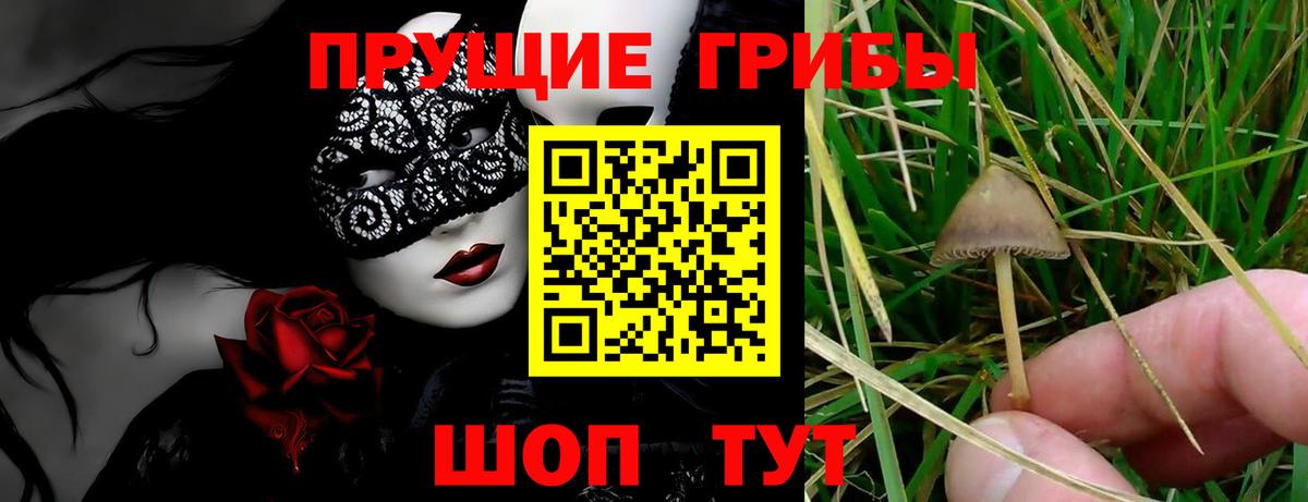 Псилоцибиновые грибы Cubensis Ханты-Мансийск